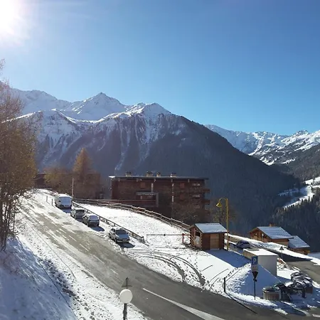 Melezes Peisey-Nancroix